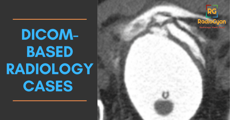 DICOM Based Radiology Cases 2